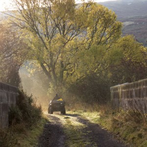 Shepherd-over-Viaduct-MG